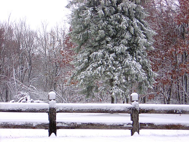 小雪+寒潮，禽畜水產(chǎn)如何應(yīng)對(duì)？
